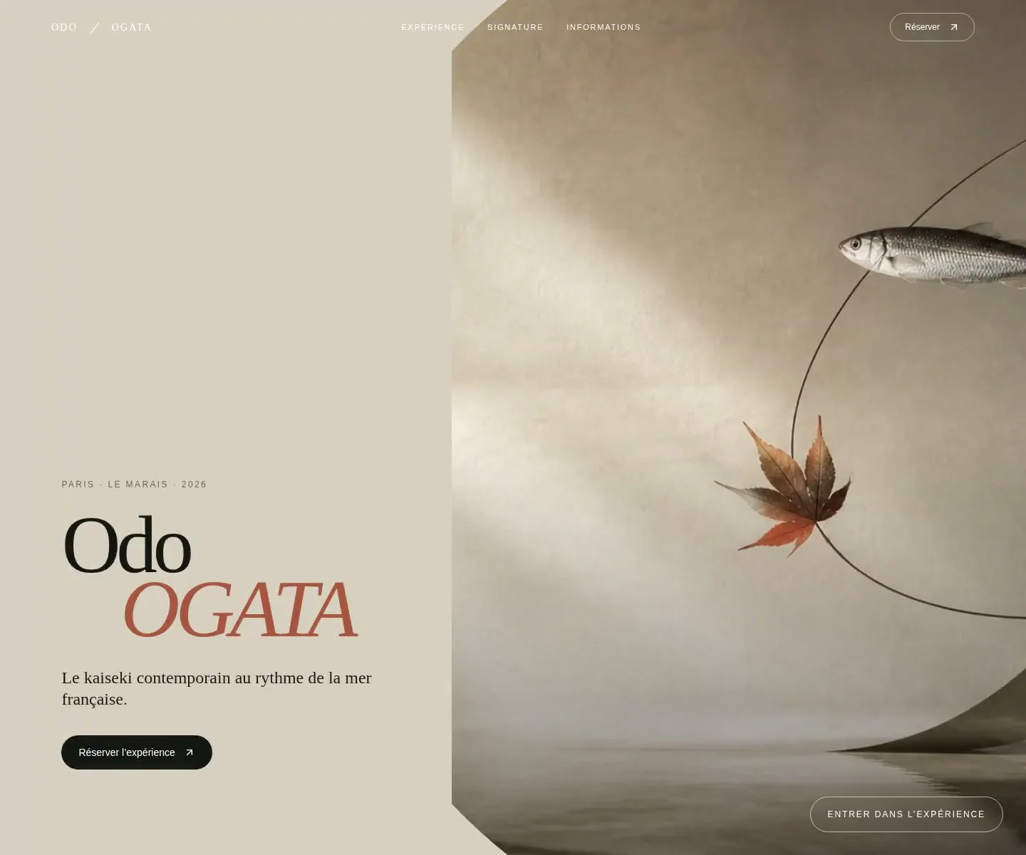 Aperçu spéculatif et non officiel de Odo | OGATA