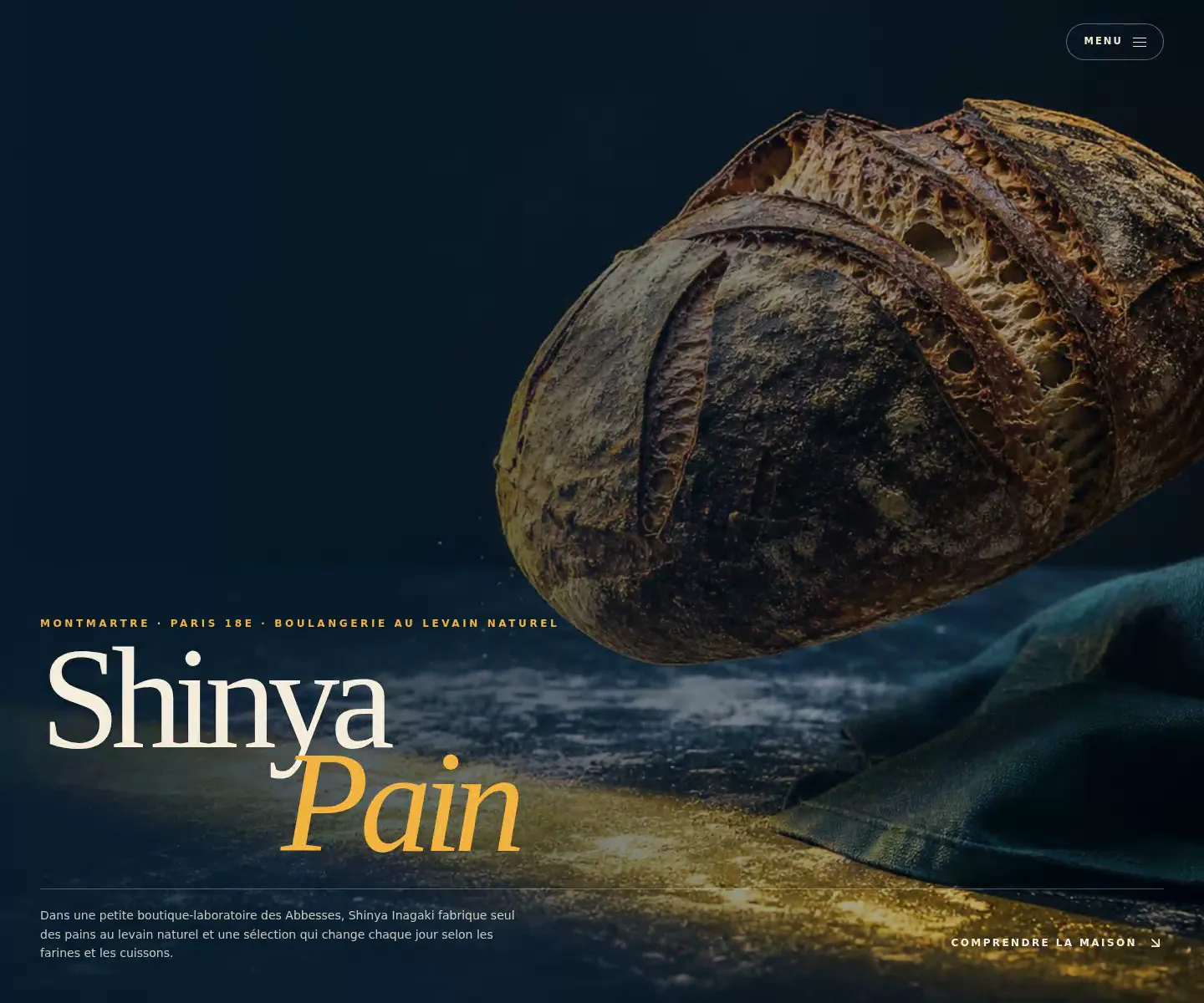 Aperçu spéculatif et non officiel de Shinya Pain Montmartre